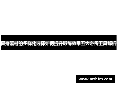 健身器材的多样化选择如何提升锻炼效果五大必备工具解析