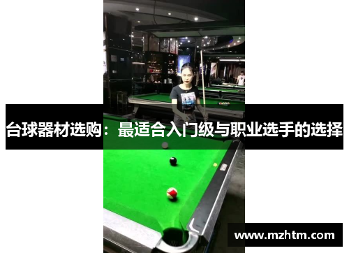 台球器材选购：最适合入门级与职业选手的选择
